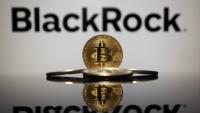 BlackRock nets over $3.1 billion of these cryptocurrencies in 8 days