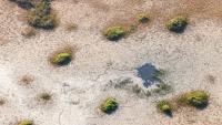 Severe drought persists in Palm Beach County