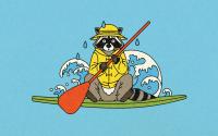Meanwhile, in Texas: An Austin Raccoon Finds Itself Up a Creek