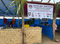 DEPARTMENT OF INTERNATIONAL TRADE SUPPORTS THE WORK OF FSA