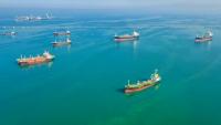Hormuz Shipping Remains Subdued Despite Apparent Reopening