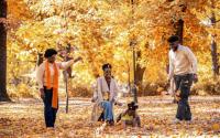 Best places to see fall colors in Europe