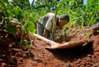 UN: Land models sprout as degradation threatens billions of livelihoods