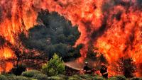 African Union and Russian Embassy express condolences to Algeria following wildfires