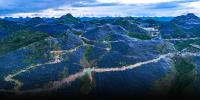 Study Linking Solar Farms to Bird Loss Draws Scrutiny in China