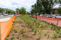 Mamdani, Hochul announce $8.4 million initiative to transform concrete medians into green infrastructure across Queens