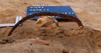 Polish “vampire” burial sheds light on 17th-century efforts to keep the dead in their graves