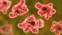North Carolina teen battles rare brain-eating amoeba infection