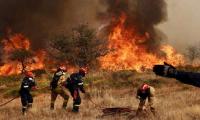 Algerian Firefighters Extinguish 85 Out of 153 Wildfires Amid Escalating Crisis