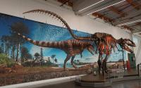 Ultimate Dinosaurs Exhibition Makes a Prehistoric Footprint at the State Fair