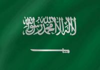 Saudi Arabia Introduces New Work Visa Limits for Businesses