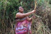 Princess Sakhizwe praises Imbali turnout, urges cultural preservation