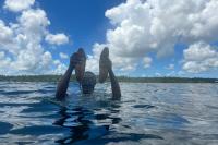 A sea cucumber venture in Zanzibar seeks to balance business and conservation