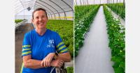 "Every additional product that we can successfully grow locally makes Aruba a little less dependent on outside supply"