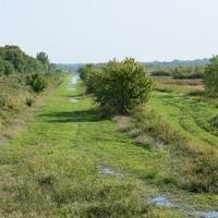 Iowa DNR planning waterfowl refuge expansion at Riverton WMA
