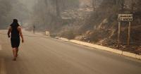 ‘We only tried to save our lives’: Algerians survey wildfire devastation
