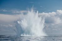 Baltic and American military divers training off Tallinn