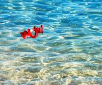 Clearest Water in New Jersey, Can You Guess Where It Is?