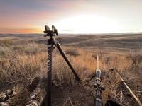 BLM reminds Colorado hunters to plan ahead for fall season