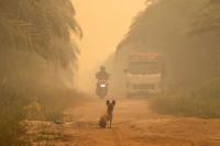 Haze: Indonesia says coordinating with Malaysia on weather modification