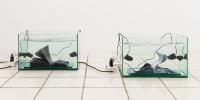 Anne-Laure Lemaitre Wants Art to Take Up More Space