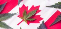Canada Sets Monthly Cannabis Sales Record, Surpasses California as World’s Largest Legal Market