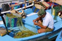 Cyprus’ fishermen call for ten year plan to save industry