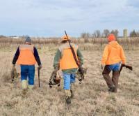 Iowa DNR taking comments on proposed changes to nonresident hunting rules