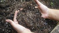 Climate change raises Russian grain production costs by up to 20%