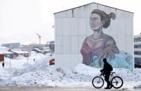 Forced birth control in Greenland ‘did not constitute genocide’