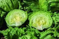 Thousands poisoned by Mexican salad in twenty US states. Two dead