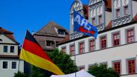 German politicians urge ban on AfD branches ahead of key vote