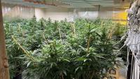 Vietnamese gangs accused of laundering drug profits through businesses