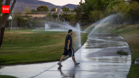 Las Vegas Valley converted 250 million sq ft of lawn to save water, saving 203 billion gallons