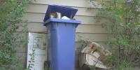 Public feedback prompts Rapid City to bring back weekly recycling collection