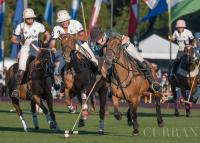 Newport meets Palm Beach at BD Field Saturday, with an all-white dress code and a Barbados trip hidden in the turf