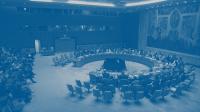 25 Years of UN/NGO Racism