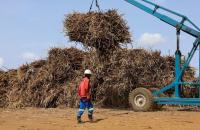South Africa Hikes Sugar Tariff