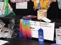 Whiteside County Fair Results: Junior Textiles Show