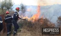 At least 73 killed in Algeria wildfires as Jijel province begins recovery