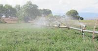 Colorado River cuts could be achieved with agricultural water leasing