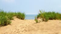 Sandwiched between Buffalo and Detroit is Canada's gorgeous Great Lakes park with beach fun