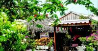 Vietnamese-American farmers preserving their culture