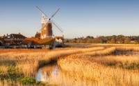 I’ve lived in Norfolk for more than 30 years. Here’s how to explore England’s windswept east