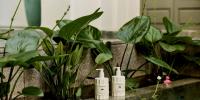 The Best Hotel Bath Amenities of 2026