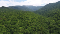 Proposal would end some logging protections in White Mountain National Forest