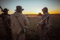 Texas Dove Season Has a Big Change This Year
