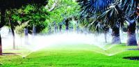 Qatar expands its green spaces, creating more liveable, resilient cities