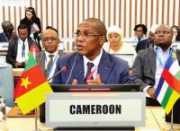 Cameroon’s Pharmaceutical Industry Expands to 19 Production Units, but Local Output Meets Under 5% of Demand