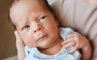 There’s no ‘constitutional right’ to abortion, Idaho tells court